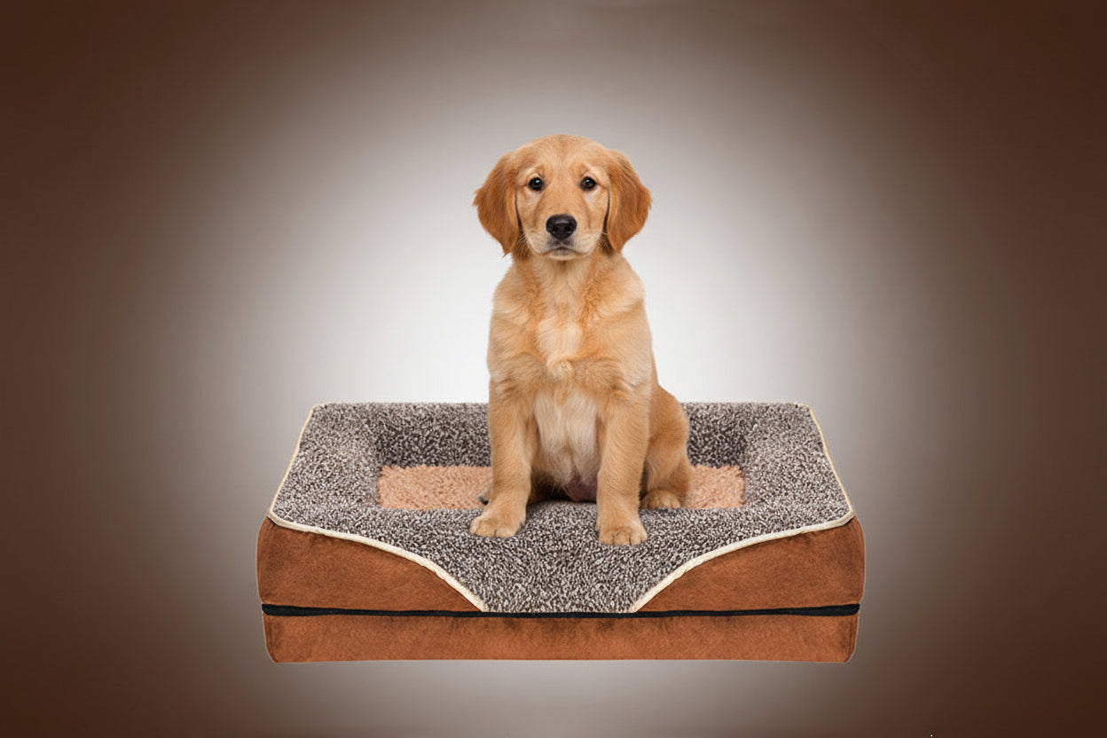 Restwell Orthopedic Bed