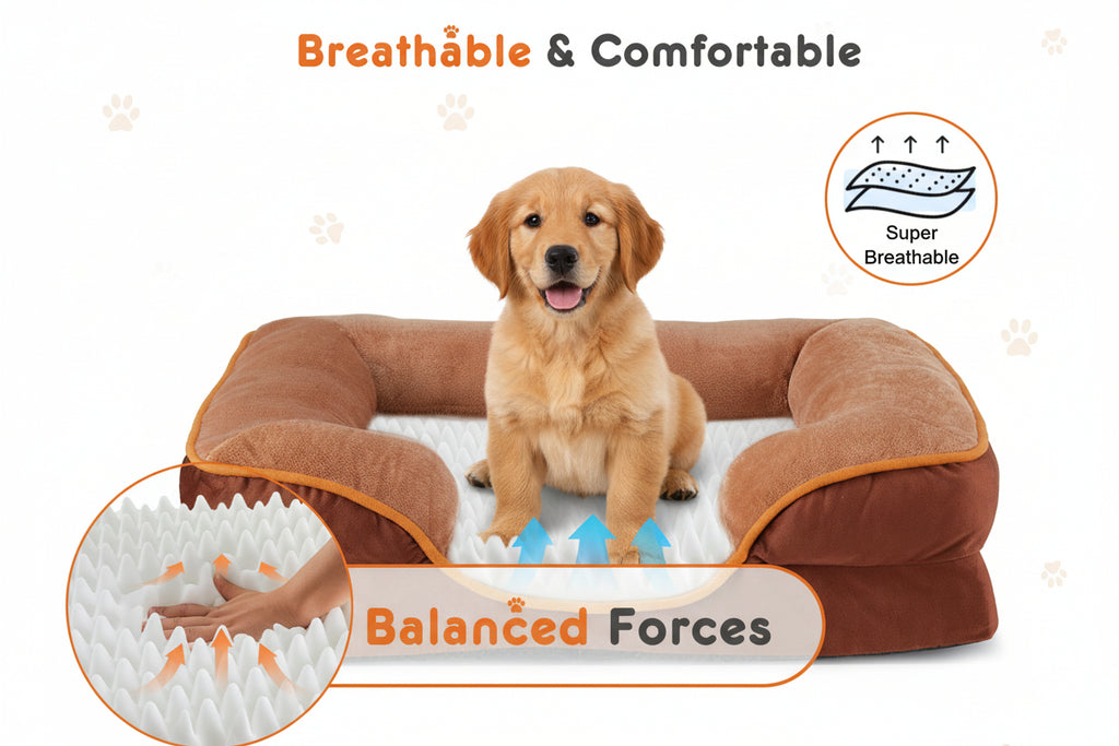 Core Comfort Memory Bed